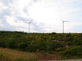 Wind Park 10MW "Mitikas" 